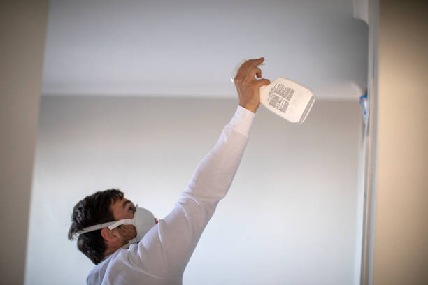 Best Same-Day Mold Removal  in North Fork, AZ