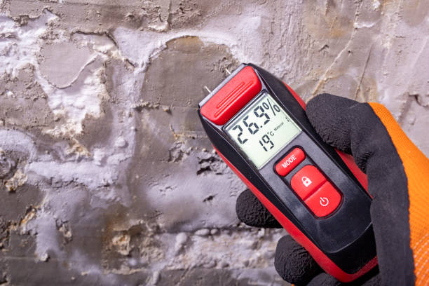 Best Emergency Mold Removal  in North Fork, AZ