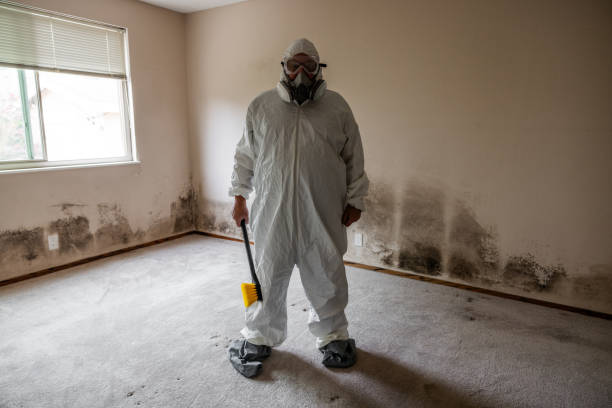 Best Residential Mold Removal  in North Fork, AZ
